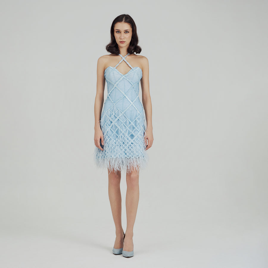 Plume Mini Dress